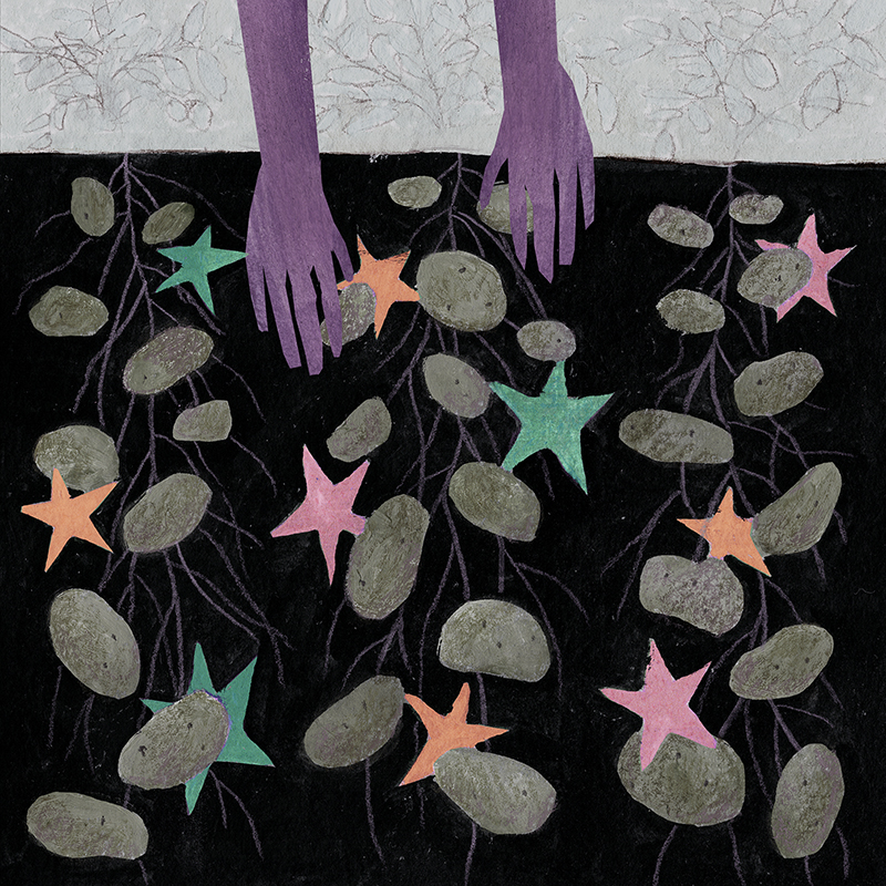 Purple hands dig into black soil with potatoes, roots and colorful starfish.